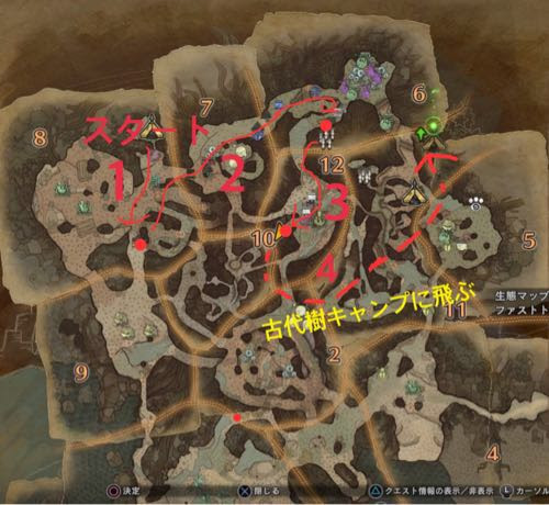 Mhwはちみつを効率よく集めるマラソン方法 秘薬マンドラゴラやアオキノコも同時に モンハンワールド攻略 げむねこつれづれ