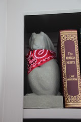 Camp Counselor Bunny