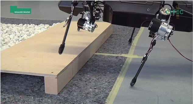 Sensors in the legs can detect obstacles like steps and stoney ground and help HECTOR to negotiate them