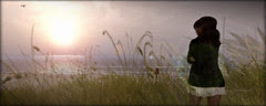 [still ... ♪♫]