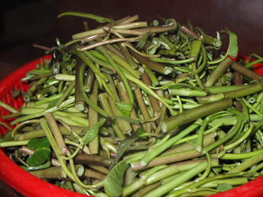 Loại rau quen thuộc mâm cơm có thể chữa được bách bệnh mà bạn gần như không hay biết - Ảnh 2.