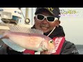 ビシ 釣り用語 184557-ビシ ��り用語