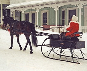 Currier & Ives Sleigh Rally