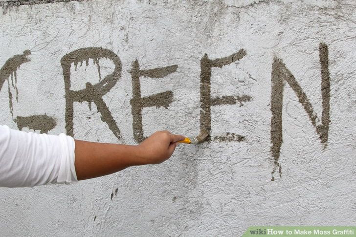 Make Moss Graffiti Step 7.jpg