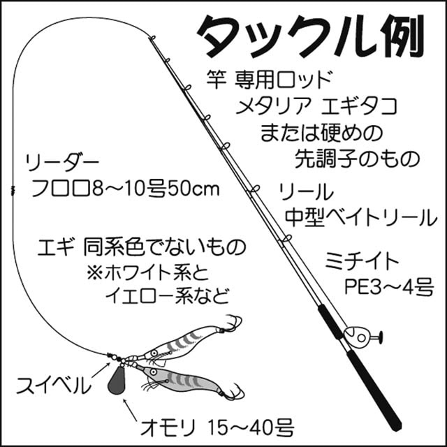 タコエギ船釣りを攻略 タックル 釣り方のキホン 解説 Tsurinews
