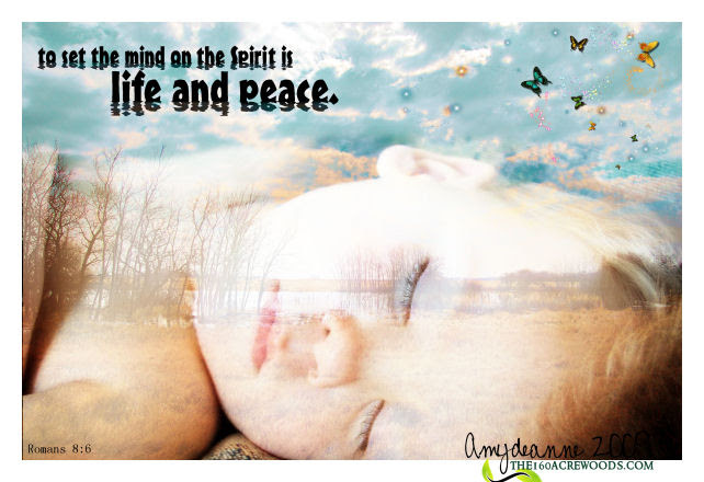 only the beautiful word of our Father through photo 39s a Bible verse