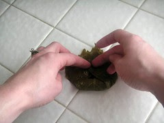 Dolma Demo4.fold