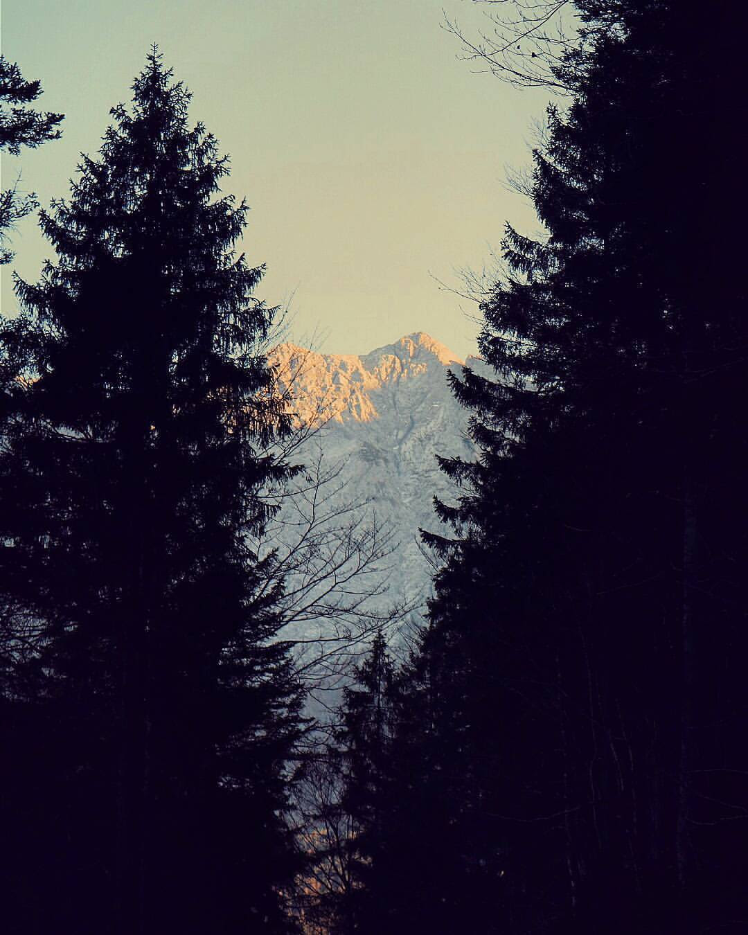 forest tumblr â ð» Infinity #hipster Explore the Endless # #boho world