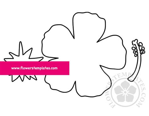  hibiscus paper template free flowers templates