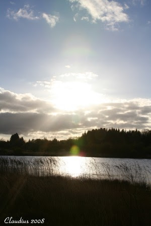 2006_1101__0034_copie