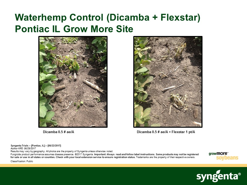 Corn and Soybean Weed Management in Pontiac, IL – Syngenta ...