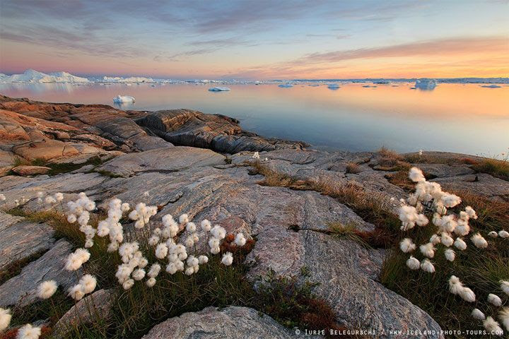  photo Iurie-Belegurschi-4_zpsb101b69c.jpg