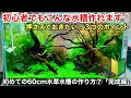 コンプリート！ アクアリウム 水草 初心者 151896