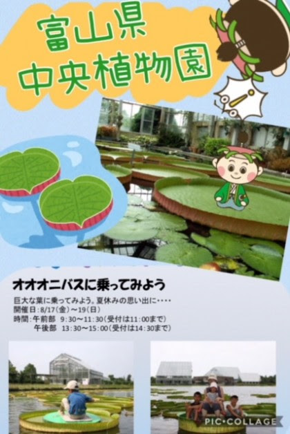 ますまる日記 水面に浮かぶ ますのすし本舗 源