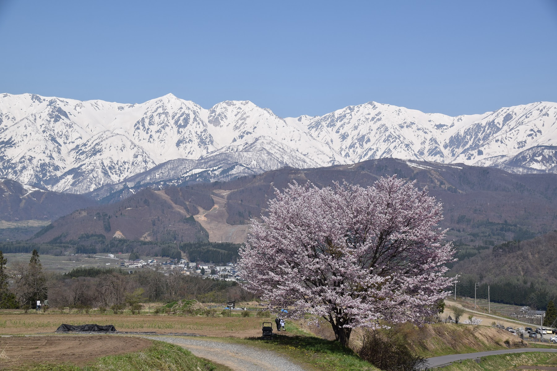 山の写真館 八ヶ岳動物病院