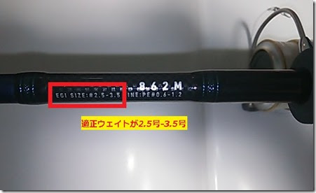 エギングロッド以外の竿でもエギングはできるのか エギング入門 アオリイカの釣り方と仕掛け