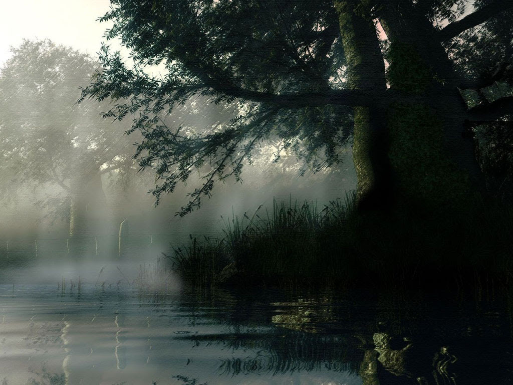 Rainy wallpaper | 1024x768 | #68823