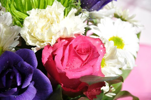 Flowers in memory of Biko from our Vet-4