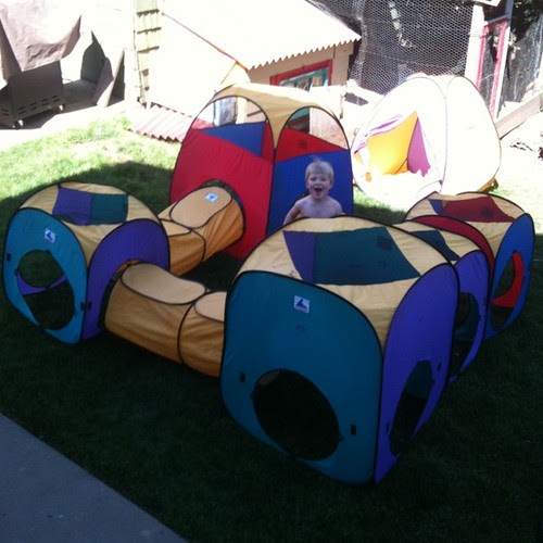 Backyard Shanty Town