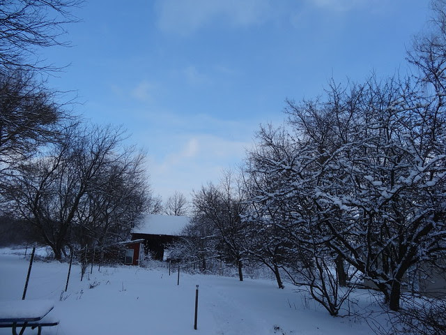 DSC00677