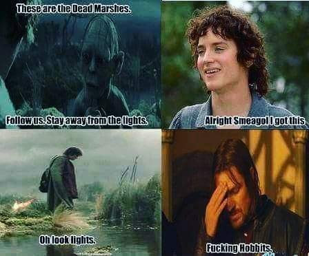 #LOTR Memes | LOTR Amino