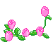 Gif de flor