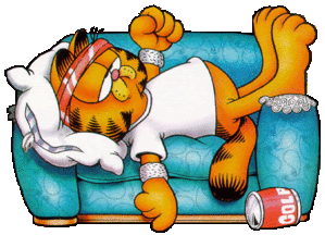 Le Chat Garfield Le Blog De Arkillia