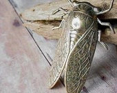 Gold Brooch Cicada Unusual Insect Bug Wings Unisex, Gifts under 20, Ready to ship, Gift Box - MySelvagedLife