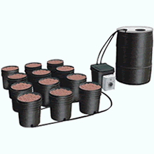 Alaska Jack's - Alaska's Largest Hydroponics Supply