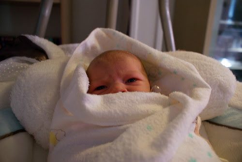 Burrito Erin 2