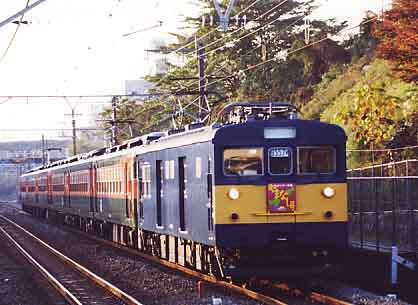 æ¨ªæµç· å¤§å£ èå æªäºº200é¢ç¸ã®æ'®å½±å°ã¬ã¤ã æ¥½å¤©ãã­ã°