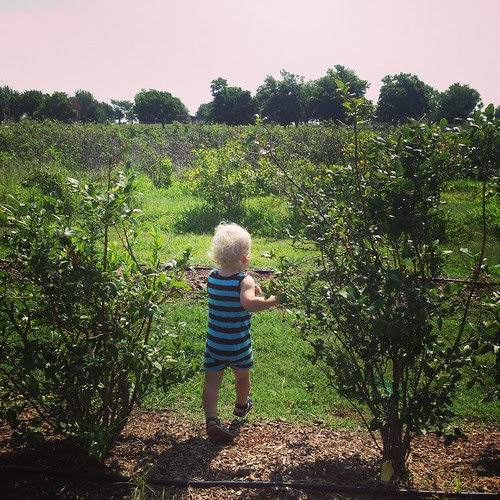 photo-8