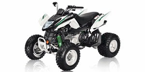 arctic cat