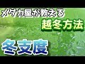 200以上 メダカ 越冬 発泡スチロール 蓋 248128
