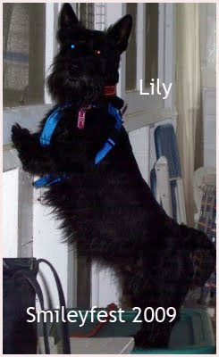 11-Lilly---2