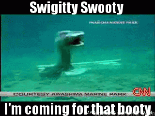Frilled Shark - Imgur