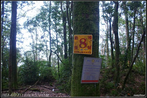 DSC08748_nEO_IMG
