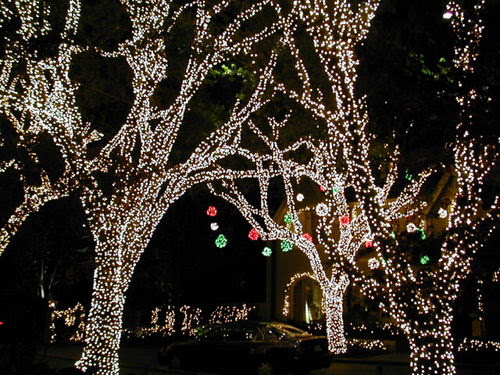 Where to View Christmas Lights In Dallas | Dallas Socials