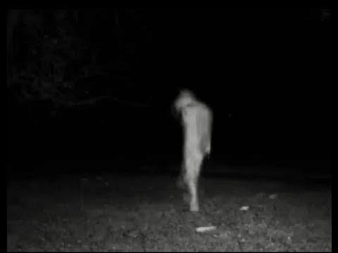 Vários tipos de contatos alienígenas