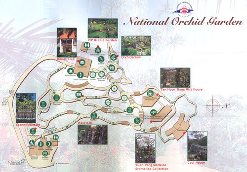 Карта на забележителностите в Националната градина на орхидеите
