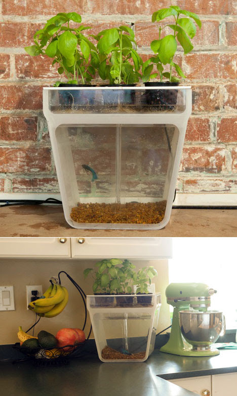 The Aquaponics Garden: A Self-Cleaning Fishtank that ...