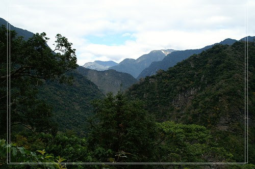 PICT0254