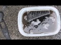 上 車 タバコ 臭 277605-車 シート タバコ 臭い