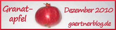 Garten-Koch-Event Dezember 2010: 
Granatapfel [31. Dezember 2010]