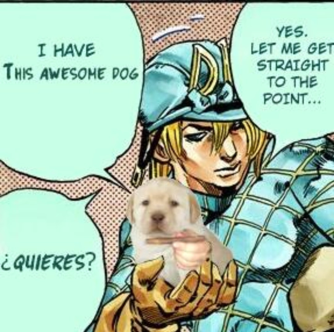 Lo Mas Rapido Quieres Meme Dog
