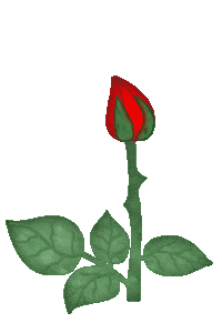 Flower Blooming Animation - ClipArt Best