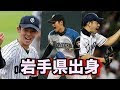 ++ 50 ++ 岩手 県 出身 プロ 野球 選手 292115-岩手県 出身 プロ野球選手