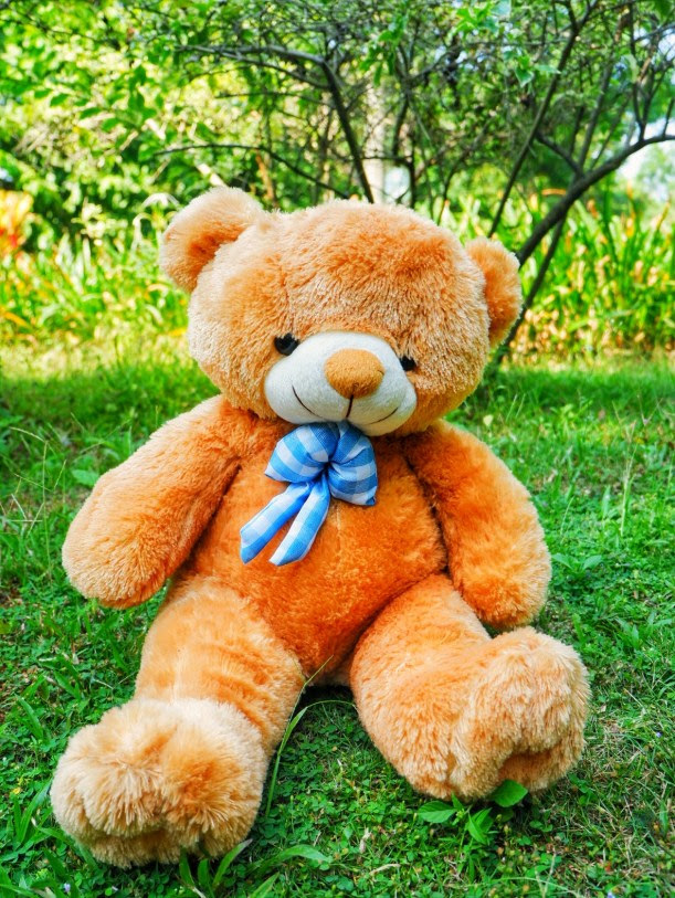 Jual Boneka Teddy Bear Import ukuran xl Jual Boneka Jual Boneka Teddy Bear Import ukuran xl Jual Boneka