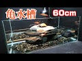 亀　水槽 332623-亀水槽 自作