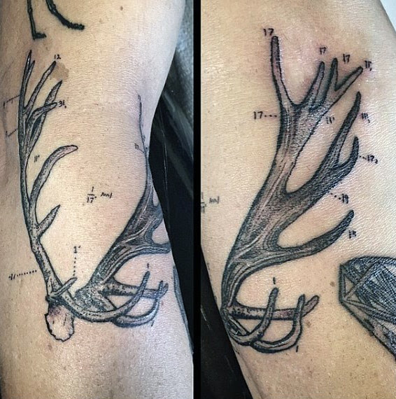 70 Antler Tattoo Designs For Men - Cool Branched Horn Ink ...